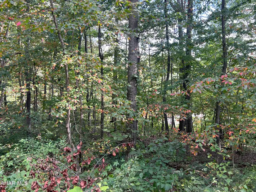 Lot 31 Woodlawn Drive, Crystal Spring, PA 15536 - #2