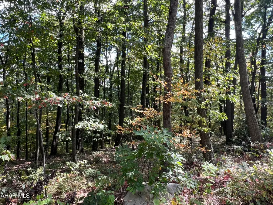 Lot 31 Woodlawn Drive, Crystal Spring, PA 15536 - #3