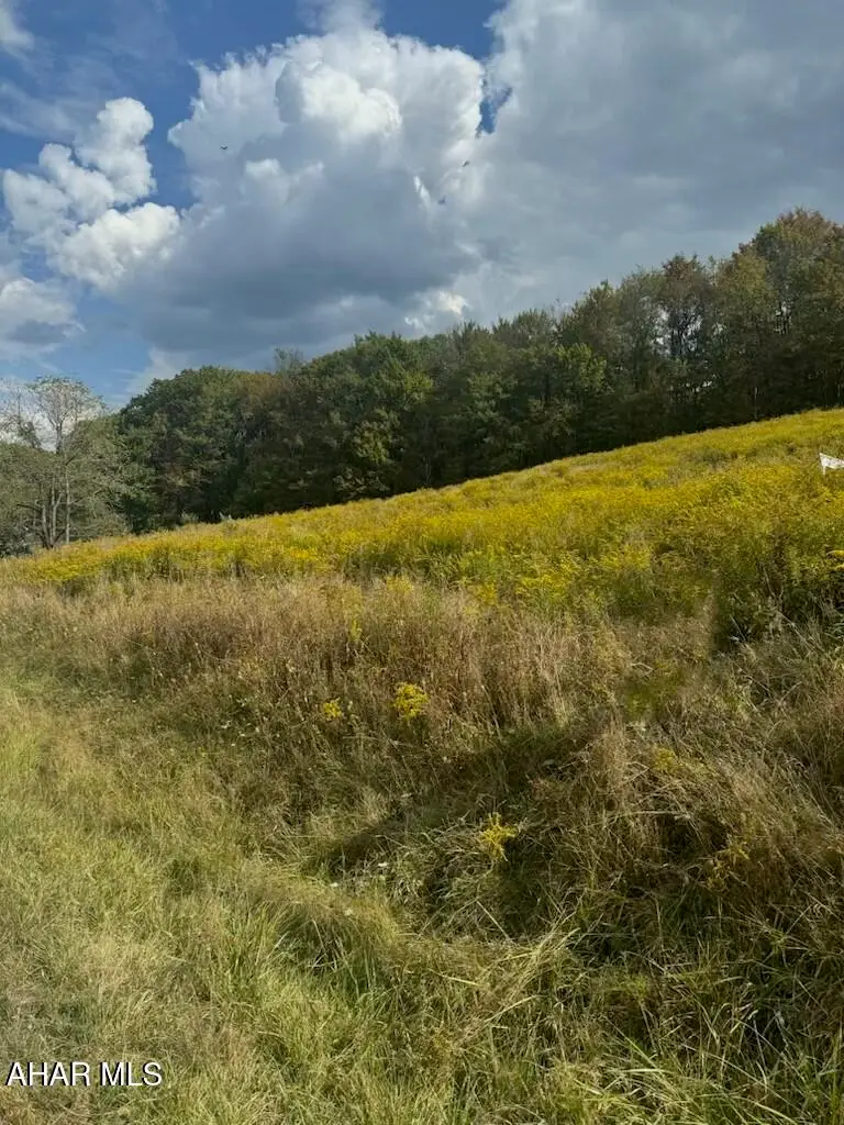 374 Shannon Road, Altoona, PA 16601 - #3