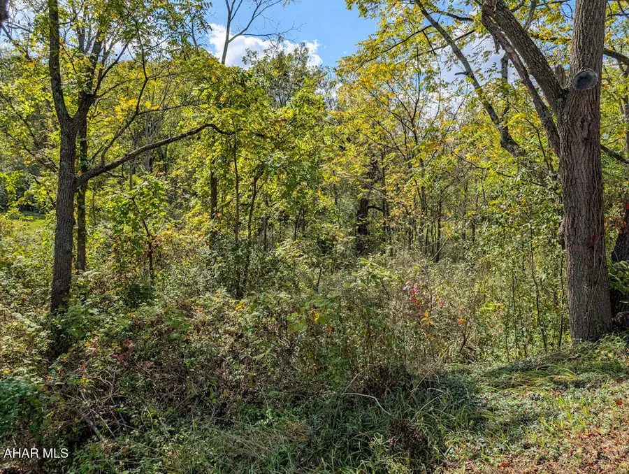 00 Chalybeate Road, Bedford, PA 15522 - #3