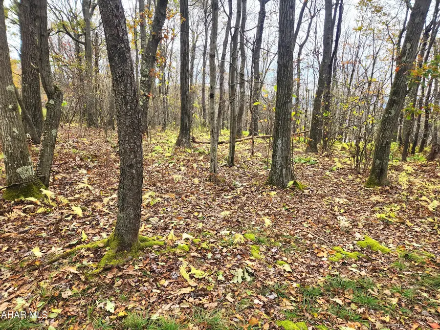 Off Scrub Oak Road, New Paris, PA 15554 - #3