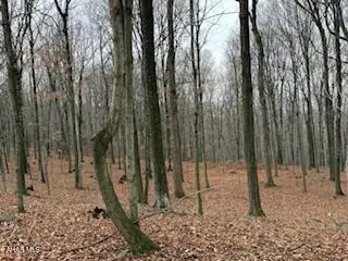 341 Heaton Road, Six Mile Run, PA 16679 - #3