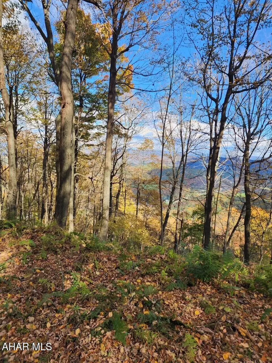 Lot 104 Overland Pass Road, Claysburg, PA 16625 - #2