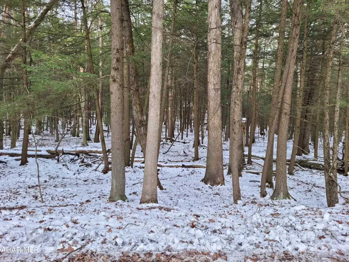 138 Red Oak Road, Flinton, PA 16640 - #1