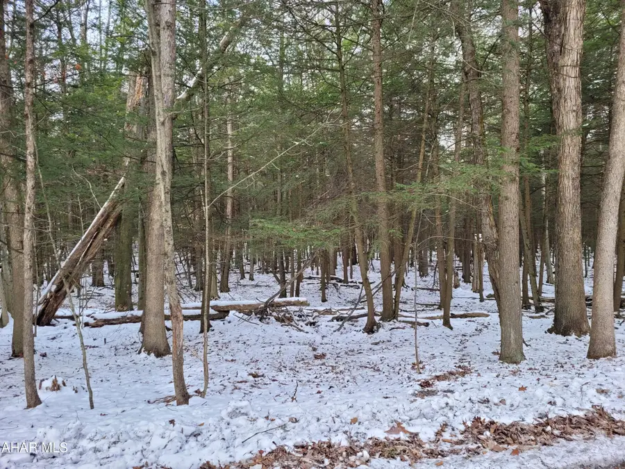 138 Red Oak Road, Flinton, PA 16640 - #2