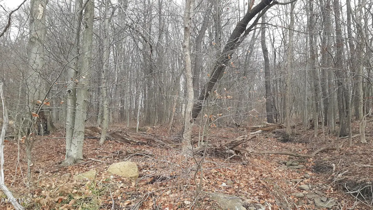 000 North Street, Lilly, PA 15938 - #1