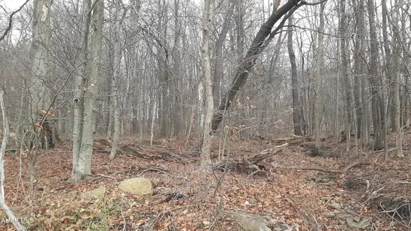 000 North Street, Lilly, PA 15938