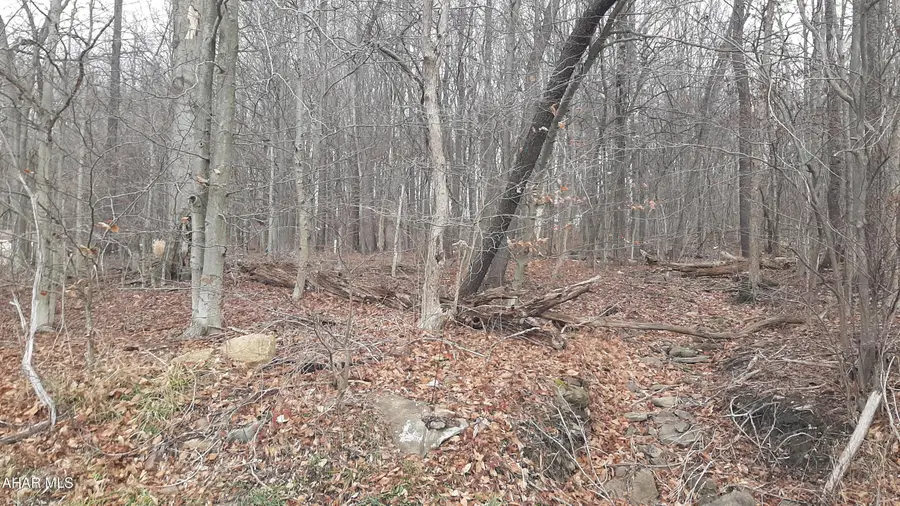 000 North Street, Lilly, PA 15938 - #2