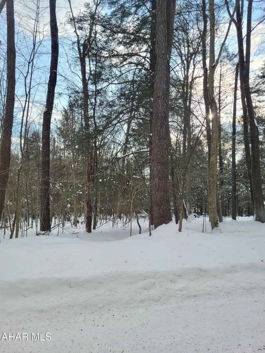 355 Troxell Spring Road, Flinton, PA 16640 - #3