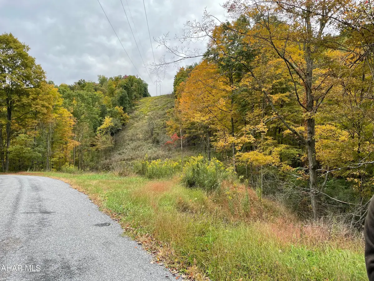 2491 Baughman Cemetary Road, Tyrone, PA 16686 - #1