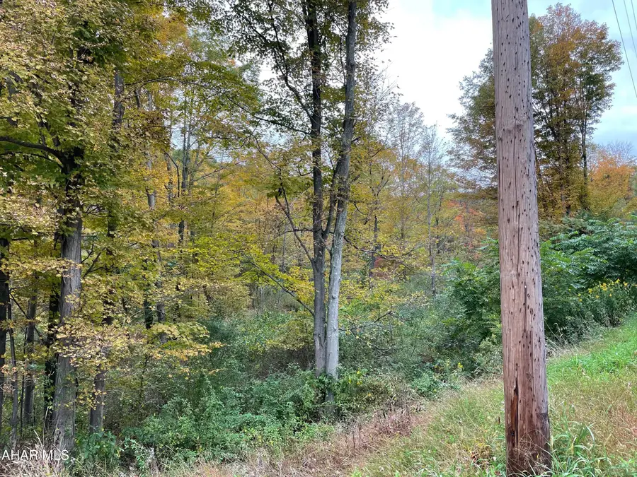 2491 Baughman Cemetary Road, Tyrone, PA 16686 - #2