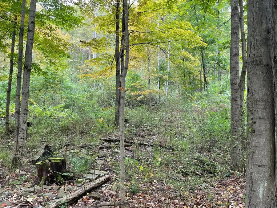 2491 Baughman Cemetary Road, Tyrone, PA 16686 - #3