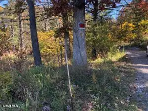 1109 Amelia Avenue, Altoona, PA 16602 - #1