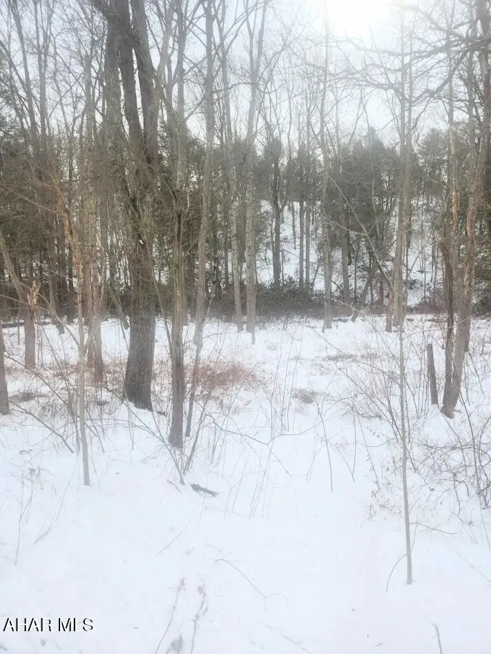 0 Brush Creek Road, Breezewood, PA 15533 - #2