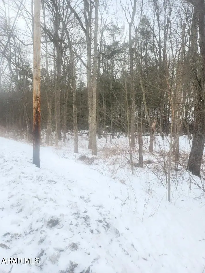 0 Brush Creek Road, Breezewood, PA 15533 - #3