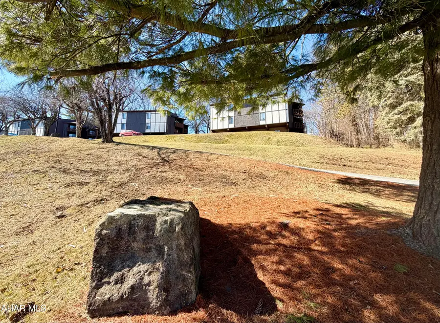 206 Ridge Avenue, Altoona, PA 16602 - #2