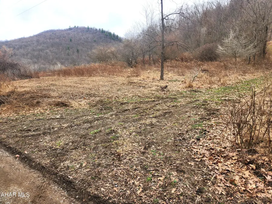 Adj. 303 Wake Road, Buffalo Mills, PA 15534 - #2