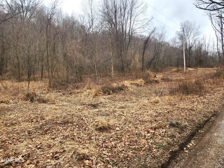 Adj. 303 Wake Road, Buffalo Mills, PA 15534 - #3