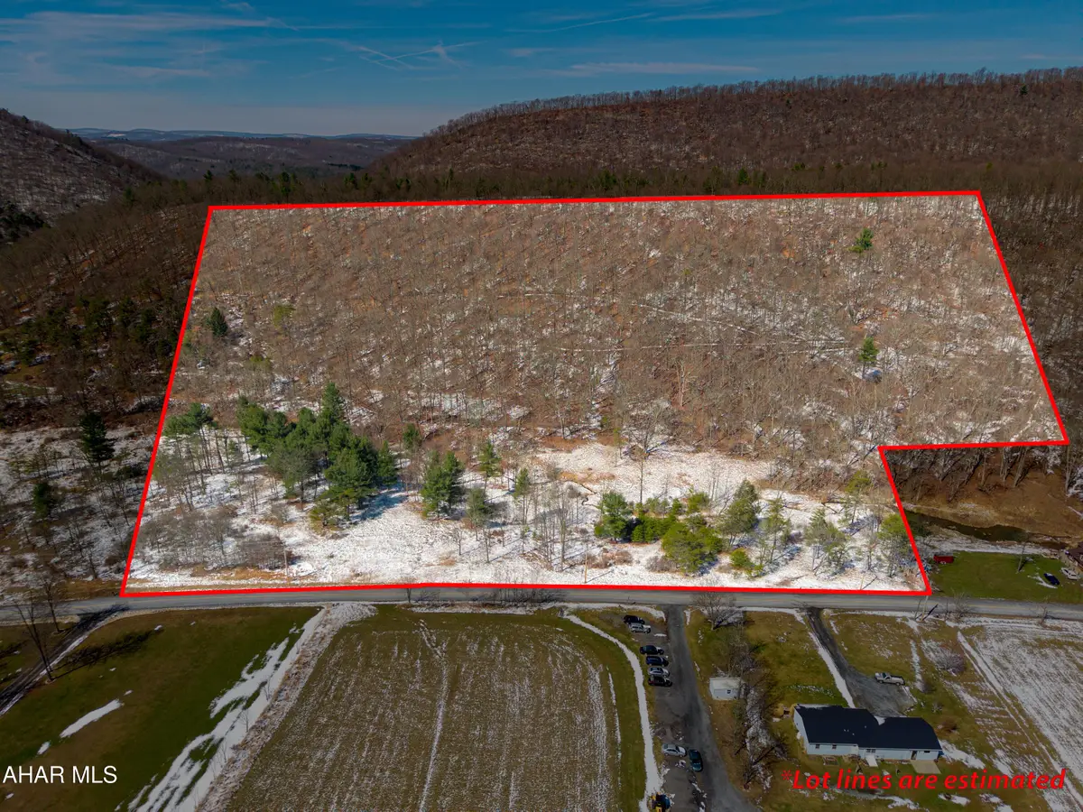 16.82 Acre Milligans Cove Road, Manns Choice, PA 15550 - #1