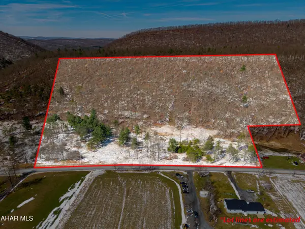 16.82 Acre Milligans Cove Road, Manns Choice, PA 15550