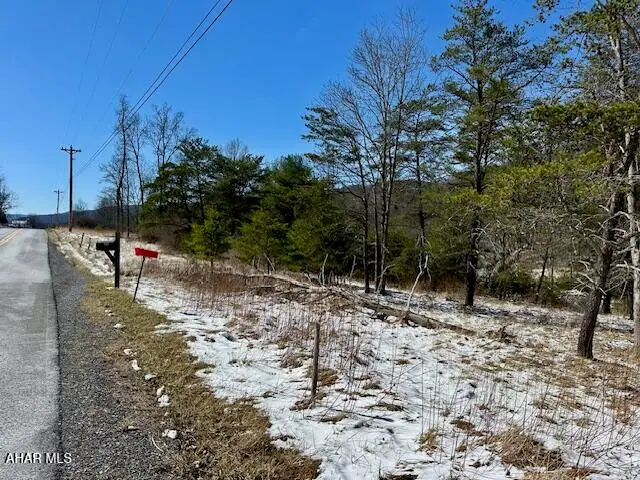 16.82 Acre Milligans Cove Road, Manns Choice, PA 15550 - #3