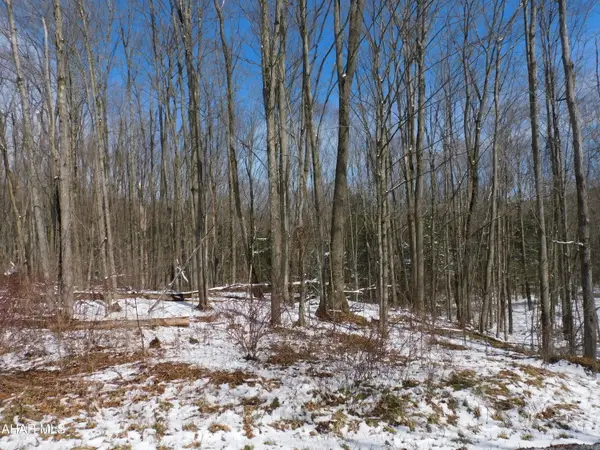 0 Gallitzin Road, Ashville, PA 16613