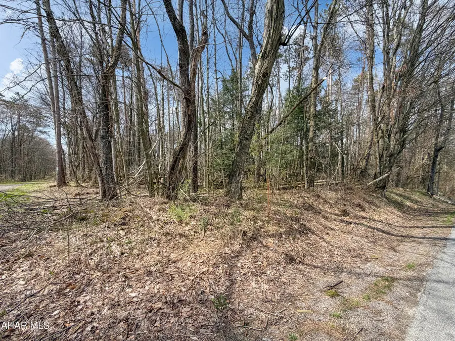 0 Benshoff Hill Road, Johnstown, PA 15909 - #3