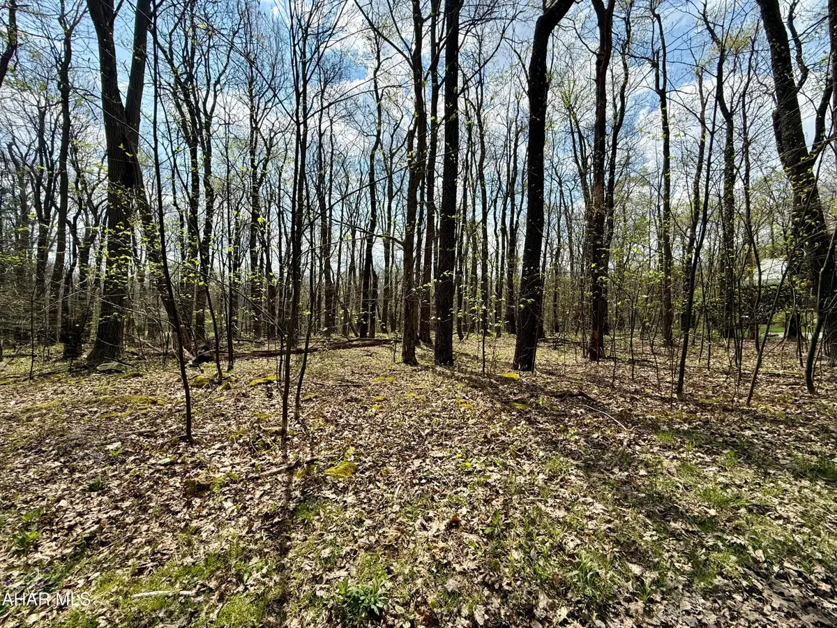 Lot 13 Timerman Road, Claysburg, PA 16625 - #1