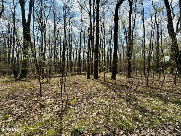 Lot 13 Timerman Road, Claysburg, PA 16625