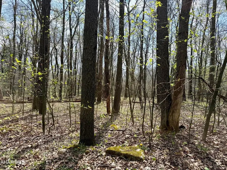 Lot 13 Timerman Road, Claysburg, PA 16625 - #2