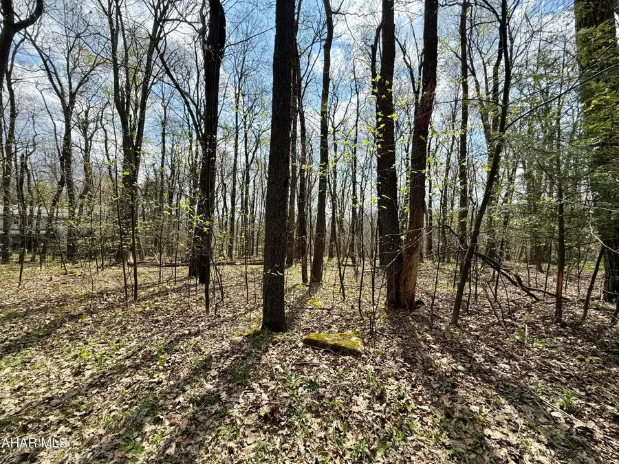 Lot 13 Timerman Road, Claysburg, PA 16625 - #3