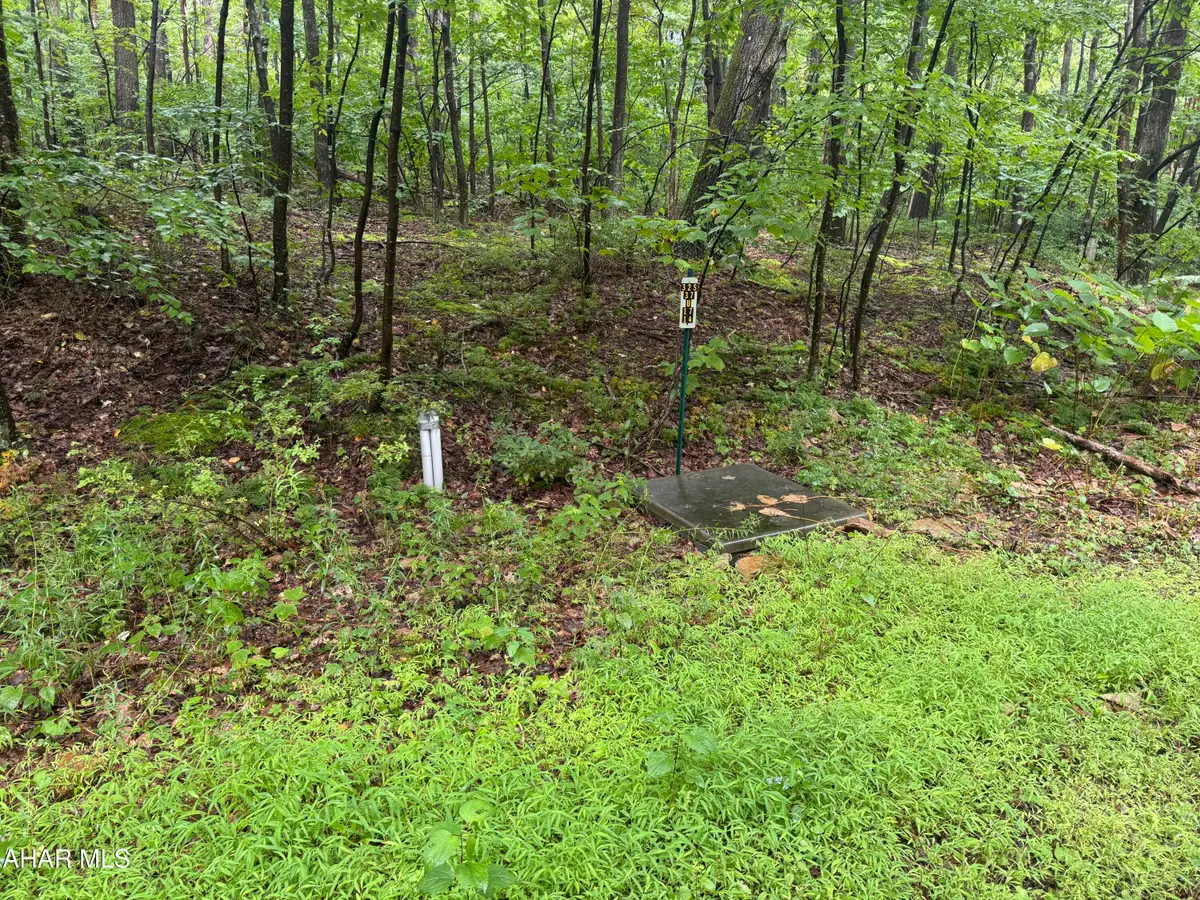 145 Oak Hill Lane, Claysburg, PA 16625 - #1
