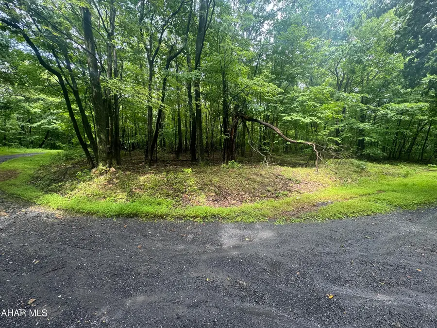 145 Oak Hill Lane, Claysburg, PA 16625 - #3