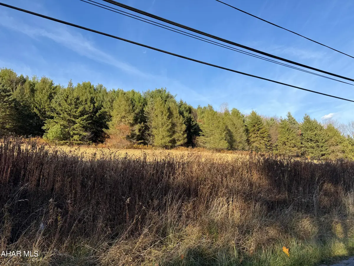 0 Barr Avenue, Northern Cambria, PA 15714 - #1