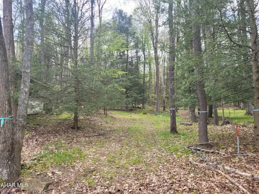 120 Whispering Wind Circle, Flinton, PA 16640 - #2