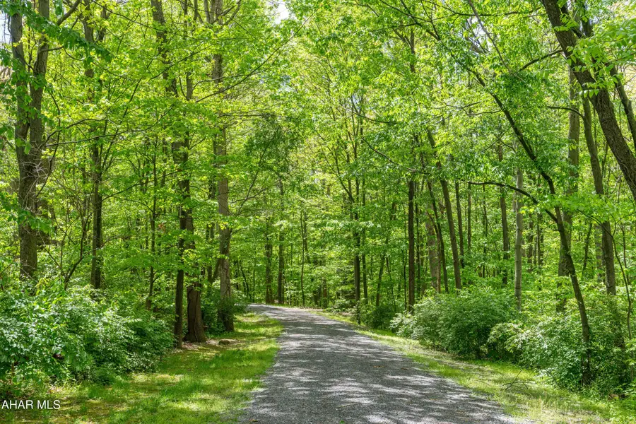 1310 Cove Ln Road, Roaring Spring, PA 16673 - #3