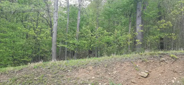 000 Scanlon Hill Road, Lilly, PA 15938