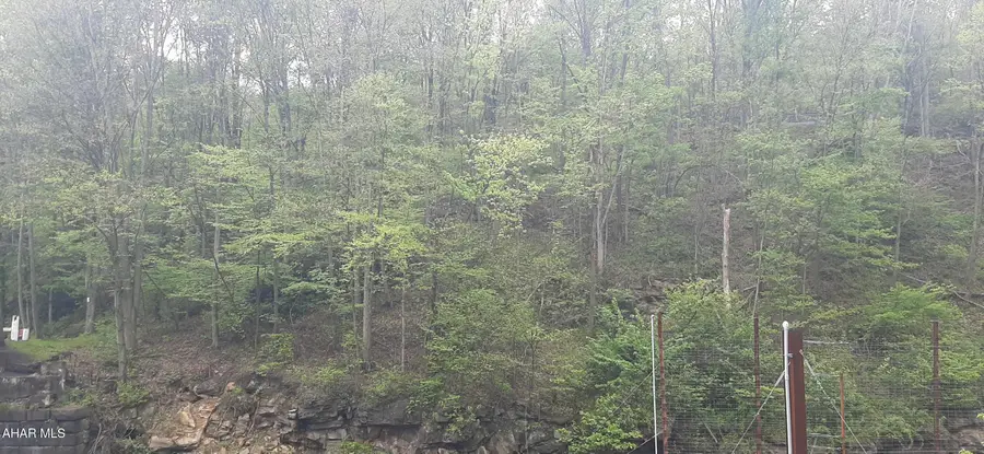 000 Scanlon Hill Road, Lilly, PA 15938 - #2