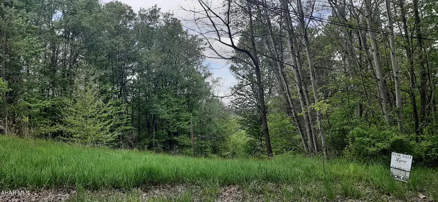 000 Scanlon Hill Road, Lilly, PA 15938 - #3