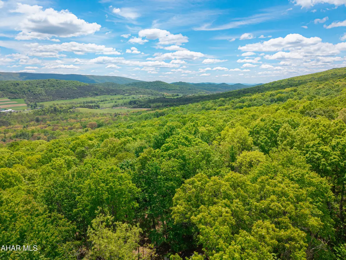 0 Bear Ridge Road, Bedford, PA 15522 - #1