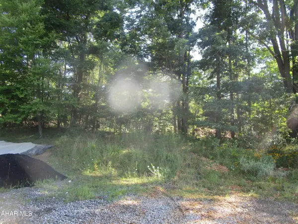 Off Clearfield Valley Boulevard, Dysart, PA 16636