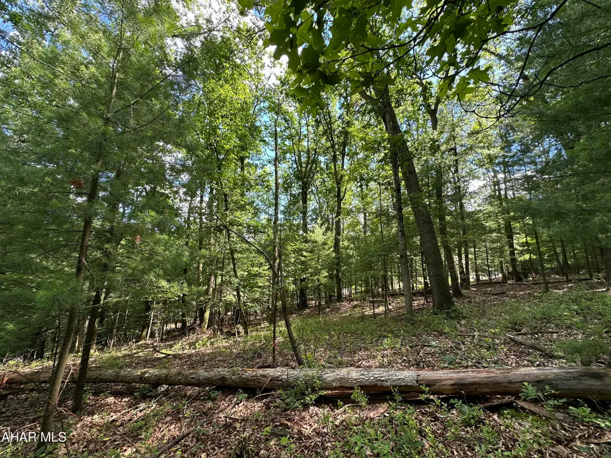 Lot 16 Jennifer Drive, Huntingdon, PA 16652 - #1