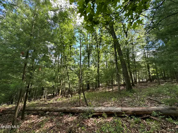Lot 16 Jennifer Drive, Huntingdon, PA 16652