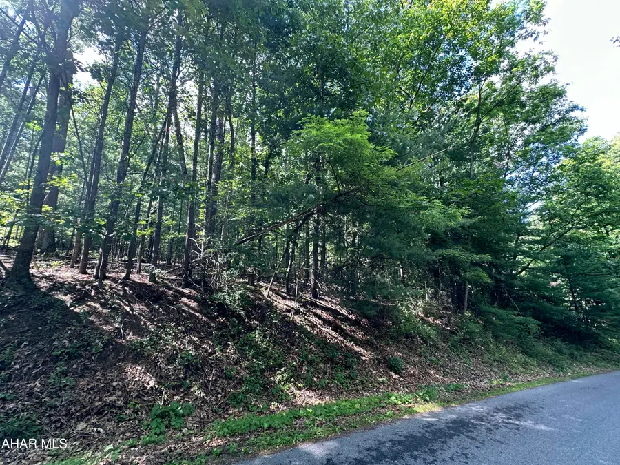 Lot 16 Jennifer Drive, Huntingdon, PA 16652 - #2