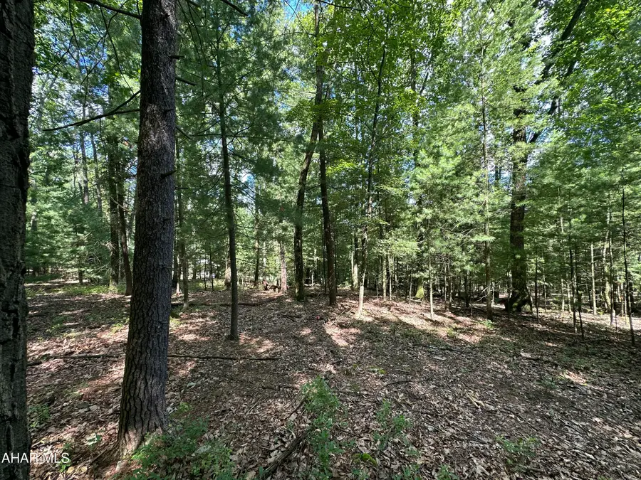 Lot 16 Jennifer Drive, Huntingdon, PA 16652 - #3