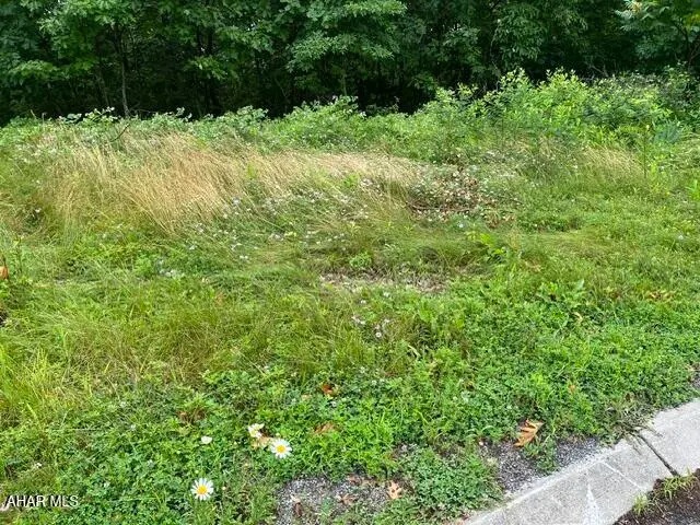 Lot 71 Queens Way, Altoona, PA 16601 - #1