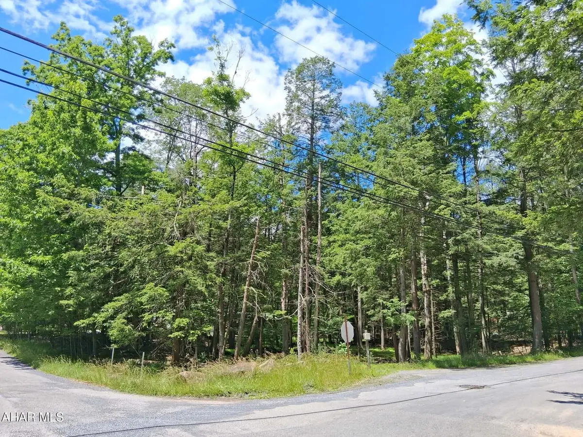 350 Kibler Lake Road, Flinton, PA 16640 - #1