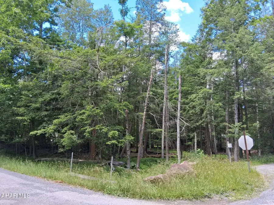 350 Kibler Lake Road, Flinton, PA 16640 - #2