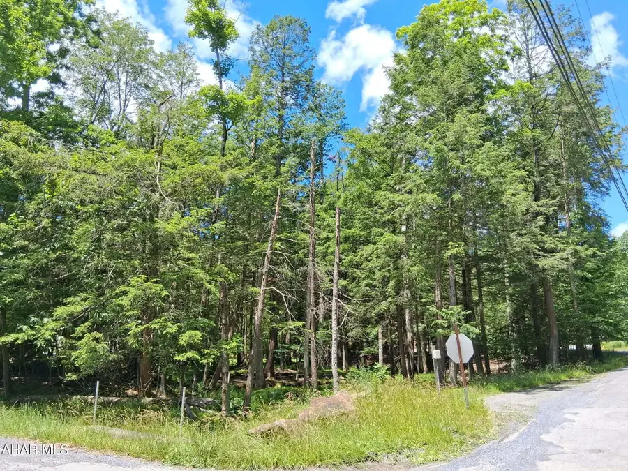 350 Kibler Lake Road, Flinton, PA 16640 - #3