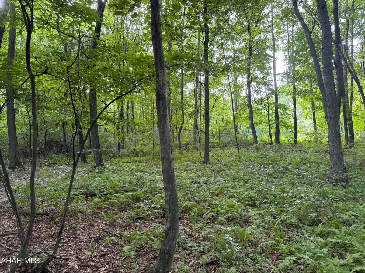00 Winterberry Lane #Lot 14, James Creek, PA 16657 - #1